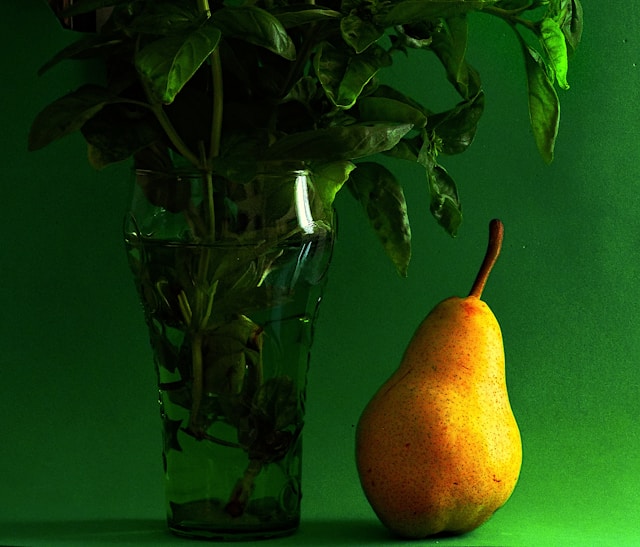 Dellaventro galéria 3